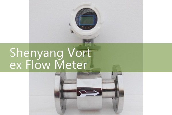 Shenyang Vortex Flow Meter